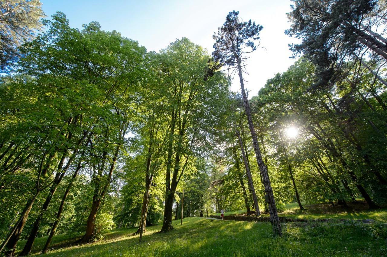 In Park Villa Valjevo Luaran gambar